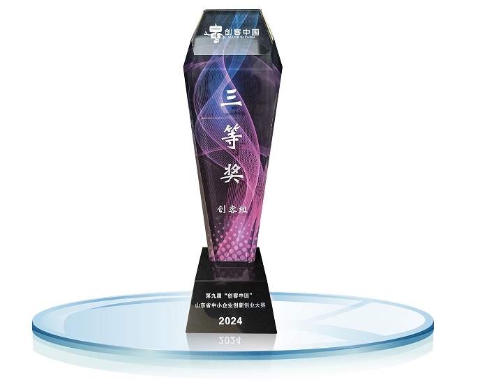 第九届创客中国山东省创新创业大赛三等奖