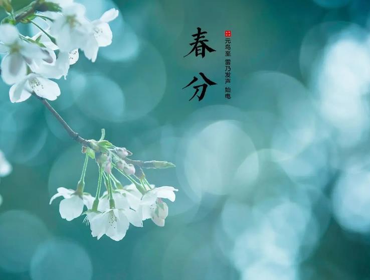 春分至，万物生，一杯美酒敬春光，一支护局儿送健康！