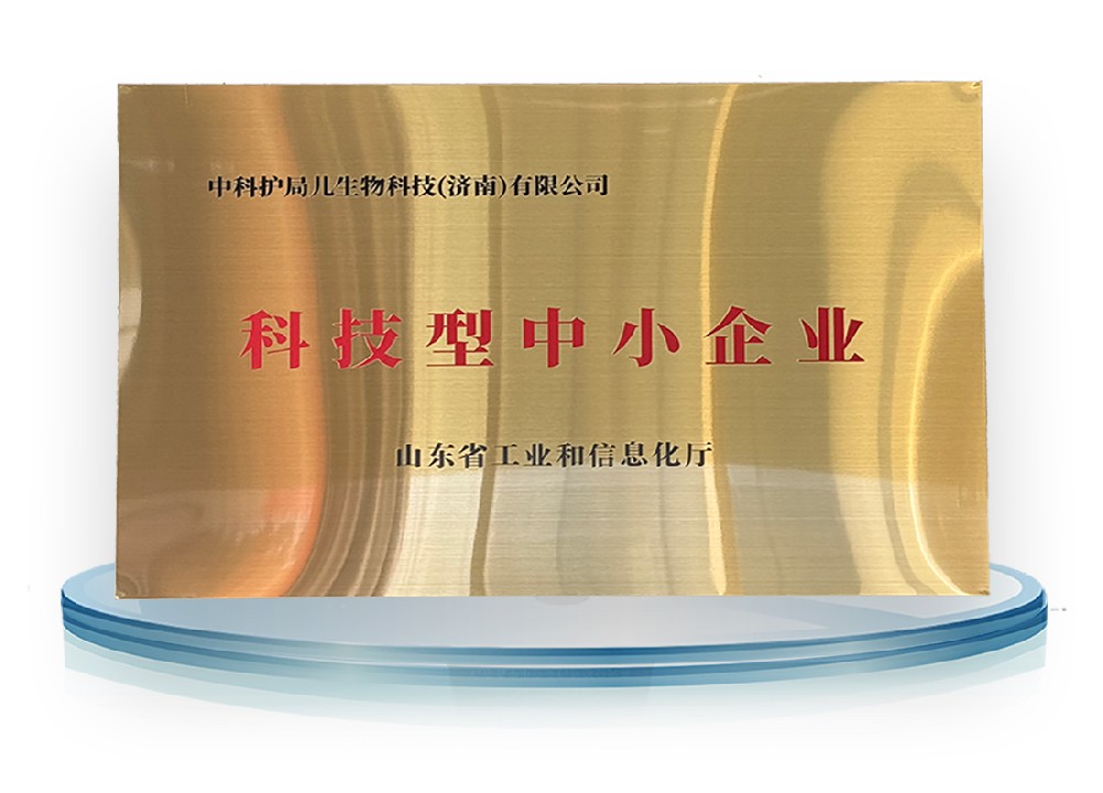 科技型中小企业