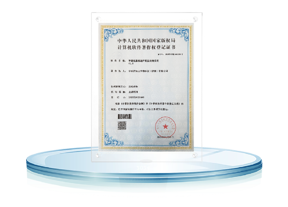 软件著作权—智慧乳腺癌超声数据处理系统V1.0